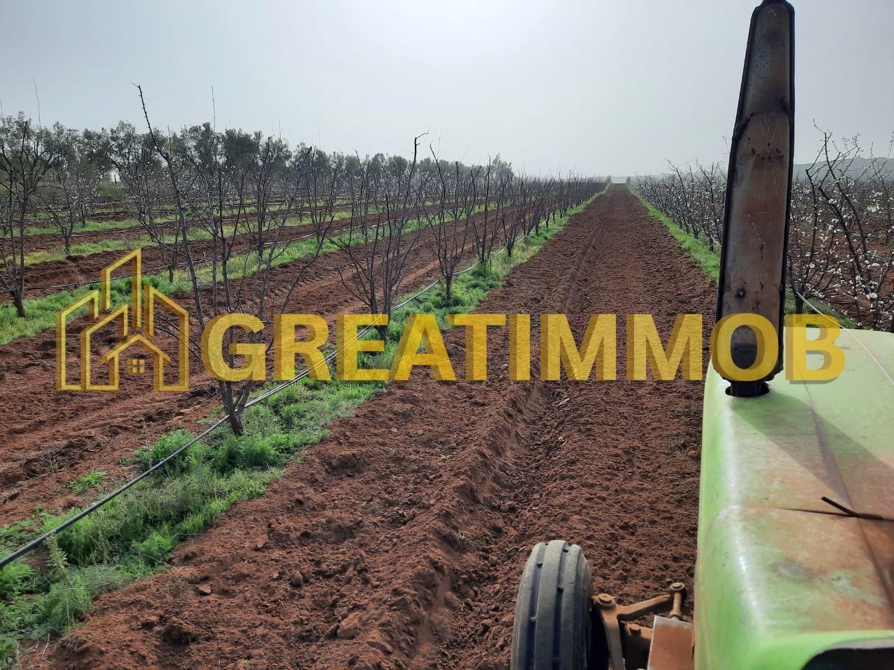 ferme meknes image 1