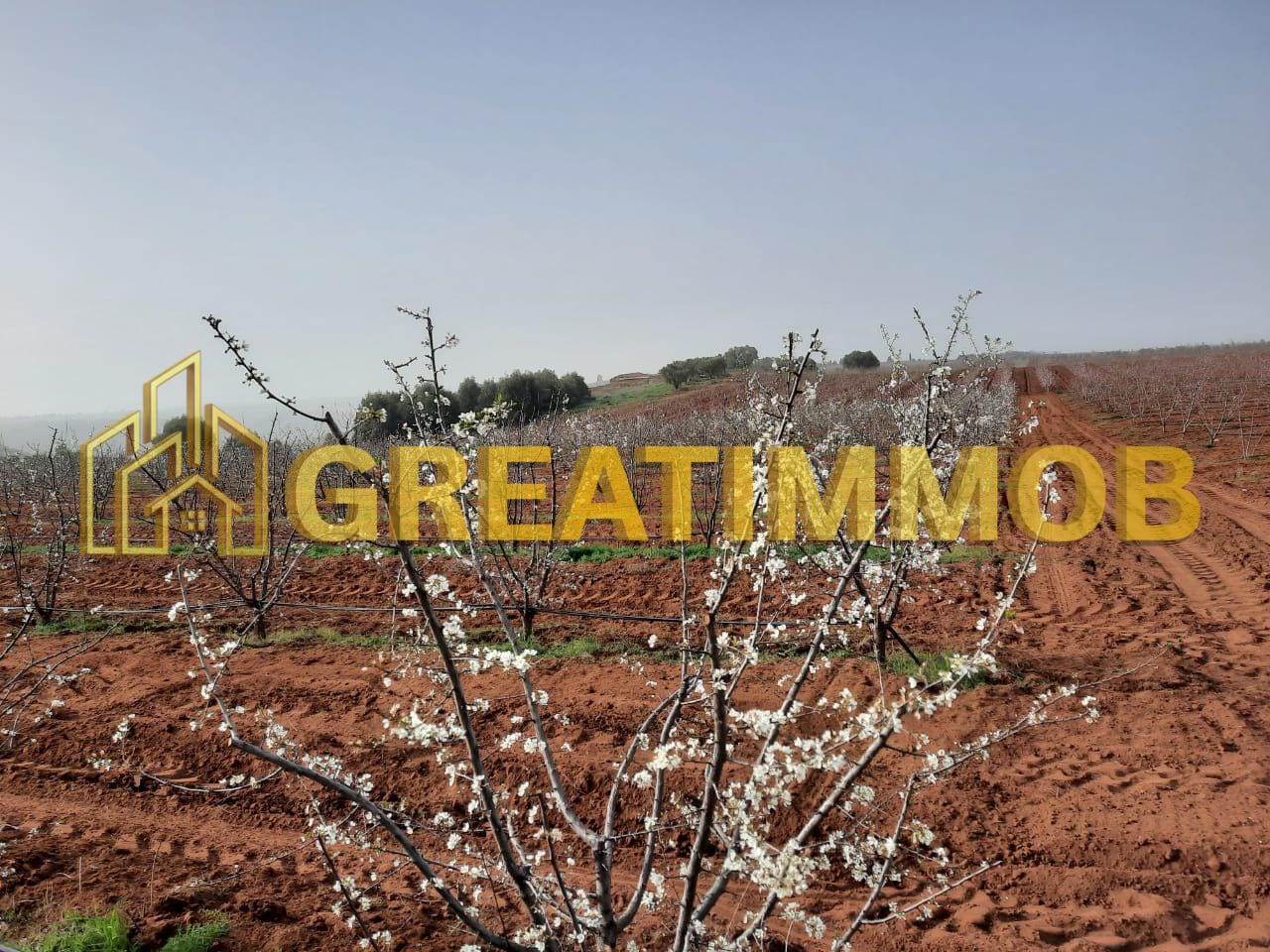 ferme meknes image 2