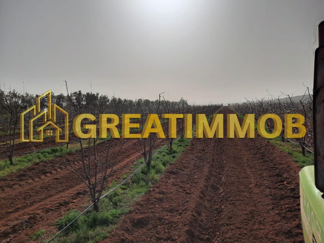 ferme meknes image 3