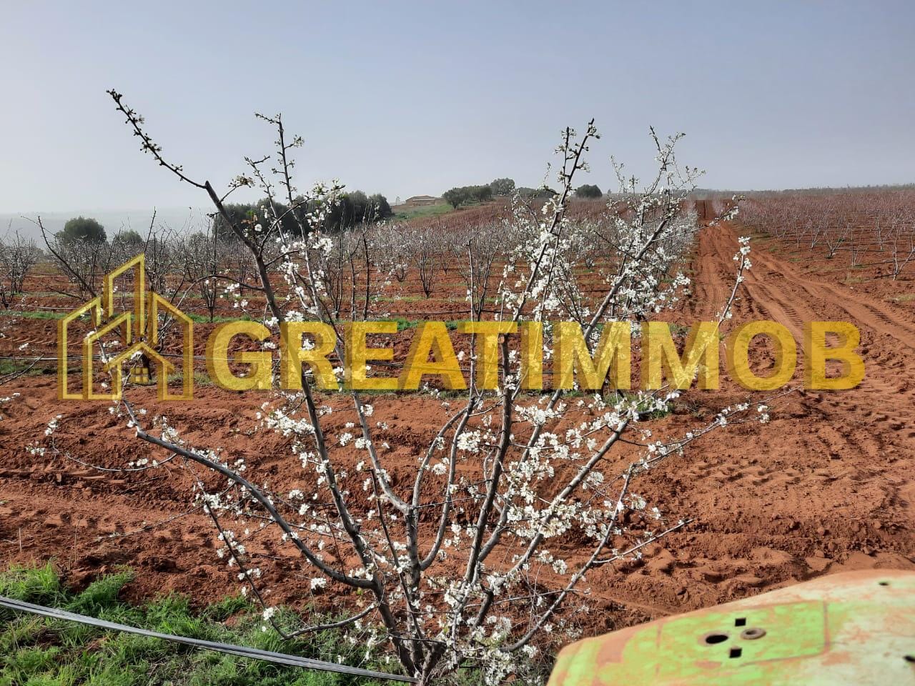ferme meknes image 4