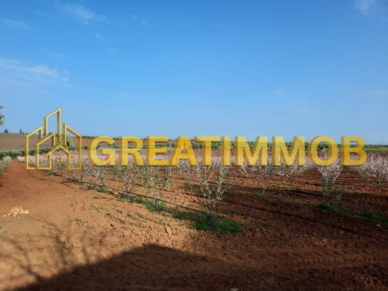 ferme meknes image 5
