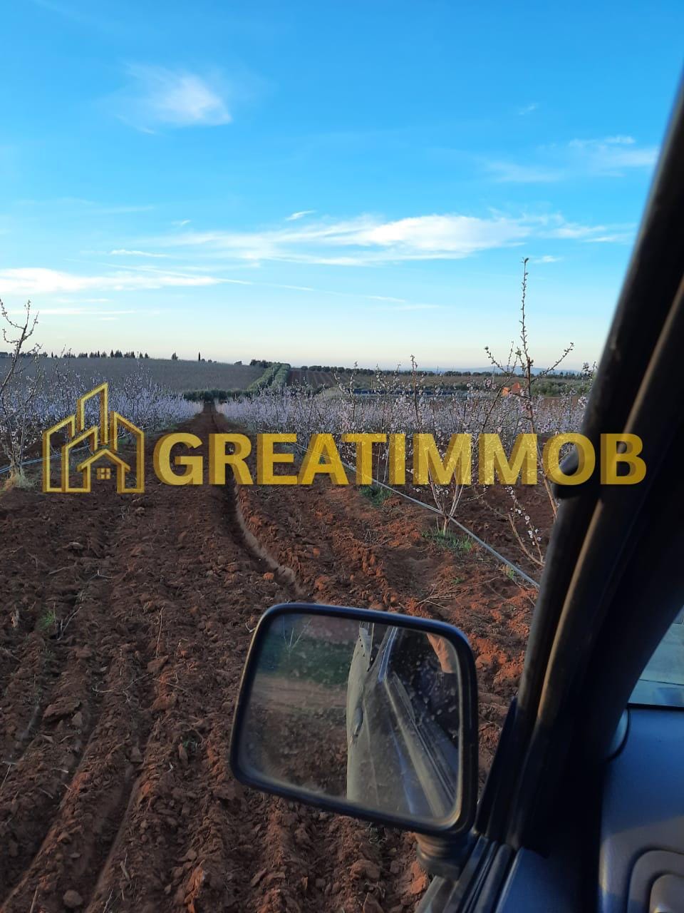 ferme meknes image 6