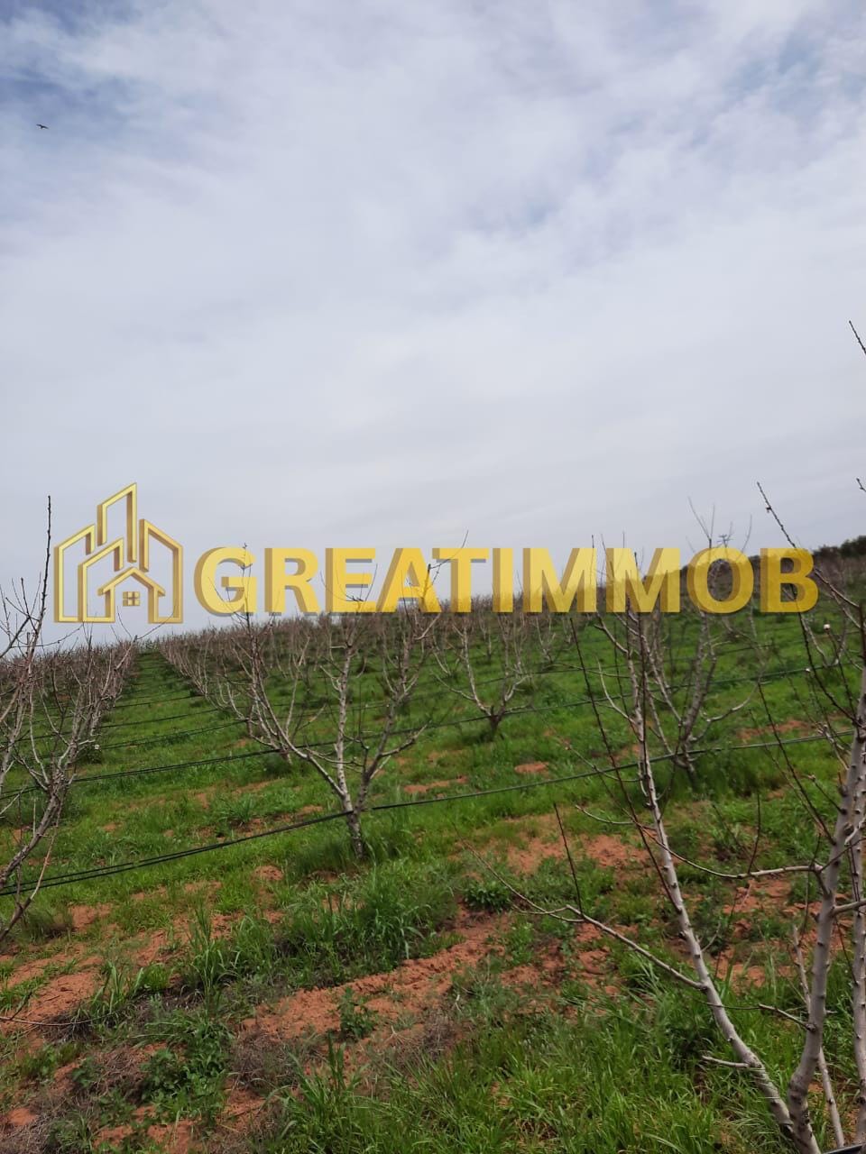 ferme meknes image 7