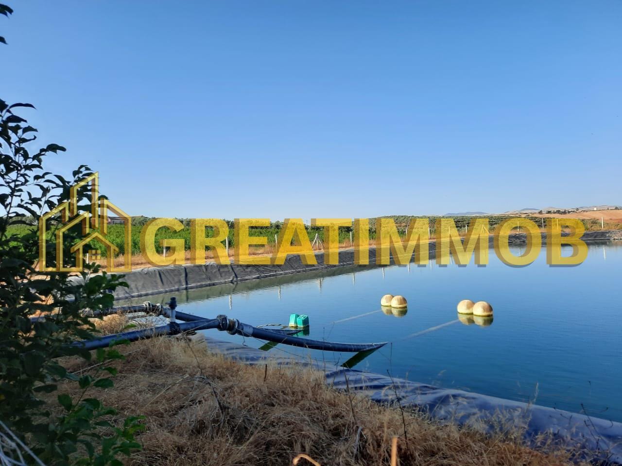 ferme meknes image 8