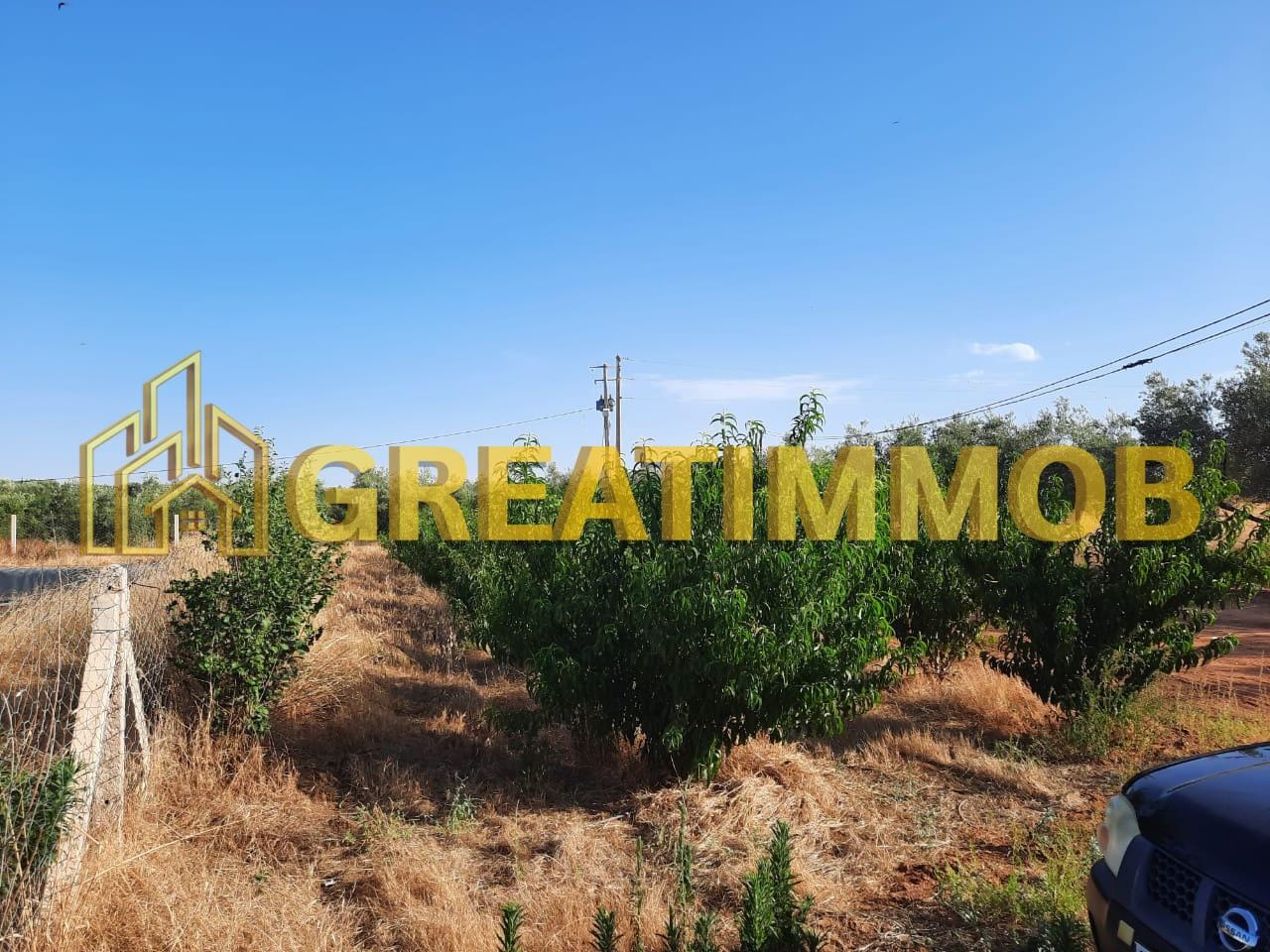 ferme meknes image 9